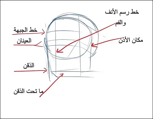 تعلم كيف ترسم وجه انمي من الأعلى مع شرح شامل