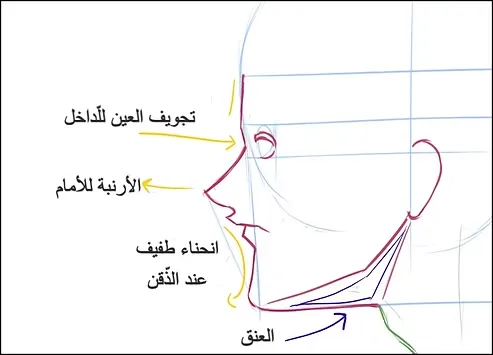 رسم وجه انمي من الجانب بالصور بطريقة محترفي الانمي مع سمر ارت