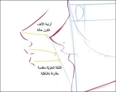 رسم وجه انمي من الجانب بالصور بطريقة محترفي الانمي مع سمر ارت