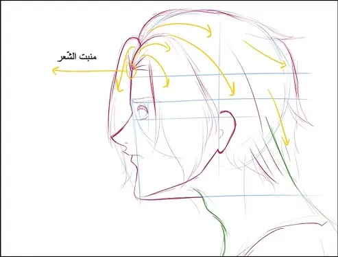 رسم وجه انمي من الجانب بالصور بطريقة محترفي الانمي مع سمر ارت