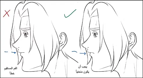 رسم وجه انمي من الجانب بالصور بطريقة محترفي الانمي مع سمر ارت