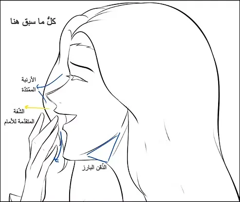 رسم وجه انمي من الجانب بالصور بطريقة محترفي الانمي مع سمر ارت