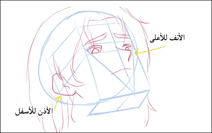 رسم وجه مانجا أفضل طريقة رسم المنظور السفلي