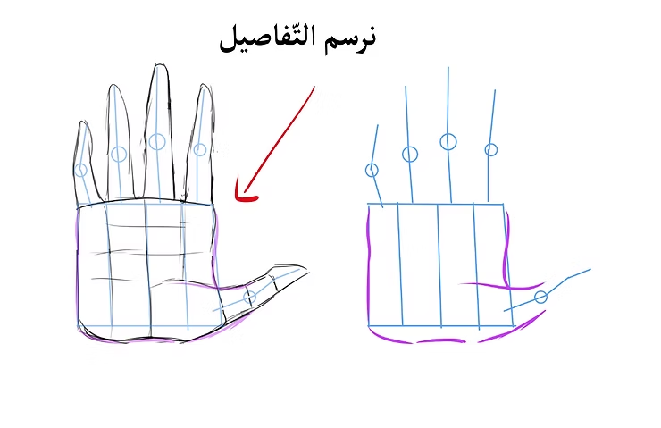 رسم اليد و كيفية رسم كف اليد في الانمي باحترافية