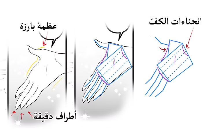 رسم اليد و كيفية رسم كف اليد في الانمي باحترافية